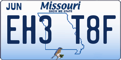 MO license plate EH3T8F