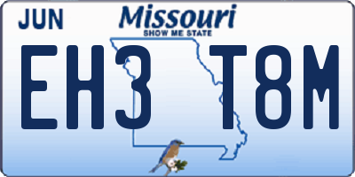 MO license plate EH3T8M