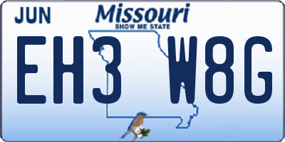 MO license plate EH3W8G