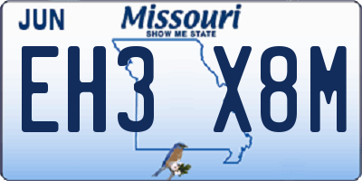 MO license plate EH3X8M