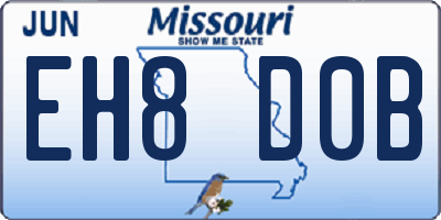 MO license plate EH8D0B