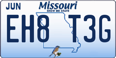 MO license plate EH8T3G