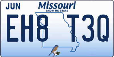 MO license plate EH8T3Q