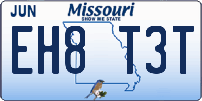 MO license plate EH8T3T