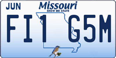 MO license plate FI1G5M