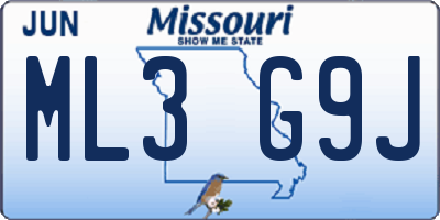 MO license plate ML3G9J