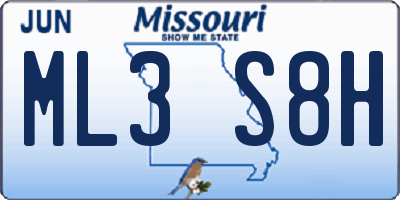 MO license plate ML3S8H
