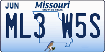 MO license plate ML3W5S