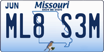 MO license plate ML8S3M