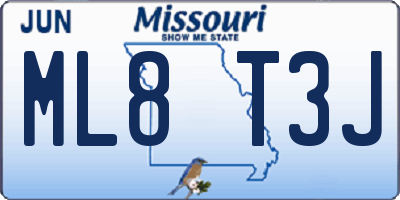 MO license plate ML8T3J