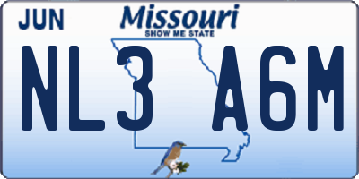 MO license plate NL3A6M