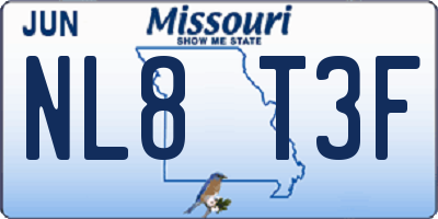 MO license plate NL8T3F