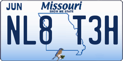 MO license plate NL8T3H