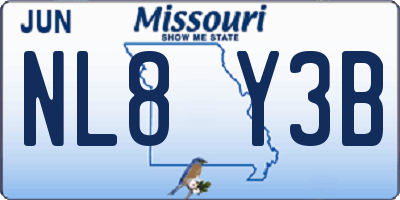MO license plate NL8Y3B