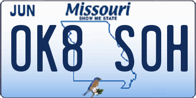 MO license plate OK8S0H