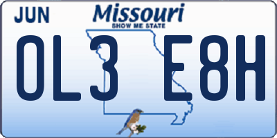 MO license plate OL3E8H