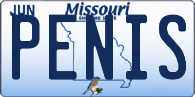 MO license plate PENIS