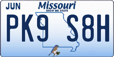 MO license plate PK9S8H
