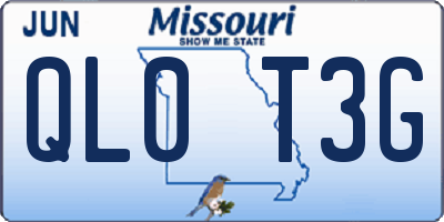 MO license plate QL0T3G
