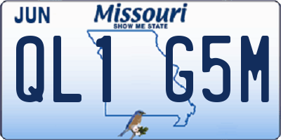 MO license plate QL1G5M