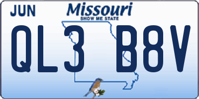 MO license plate QL3B8V