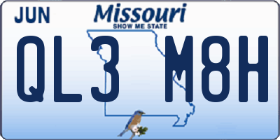 MO license plate QL3M8H