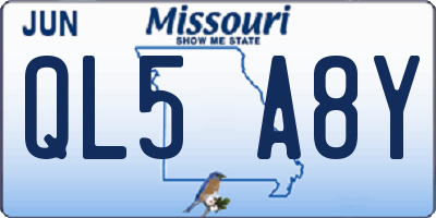 MO license plate QL5A8Y