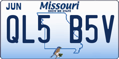 MO license plate QL5B5V