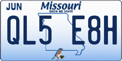 MO license plate QL5E8H