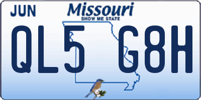 MO license plate QL5G8H