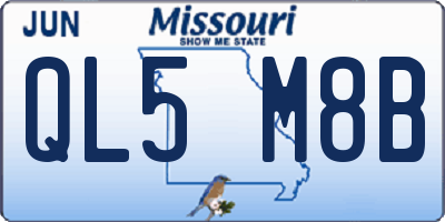 MO license plate QL5M8B