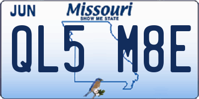 MO license plate QL5M8E
