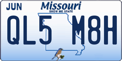 MO license plate QL5M8H
