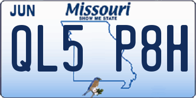 MO license plate QL5P8H