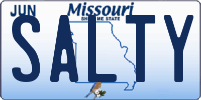 MO license plate SALTY
