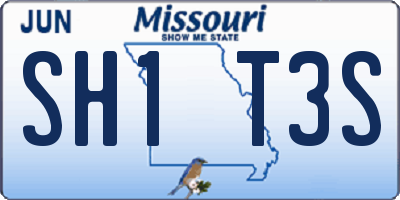 MO license plate SH1T3S