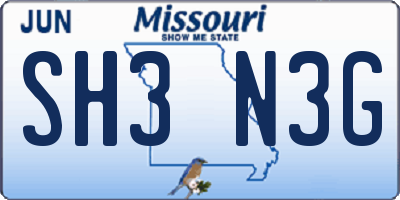 MO license plate SH3N3G