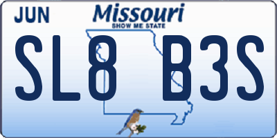 MO license plate SL8B3S