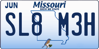 MO license plate SL8M3H