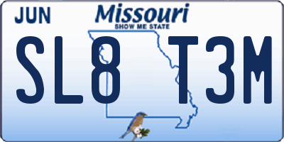 MO license plate SL8T3M