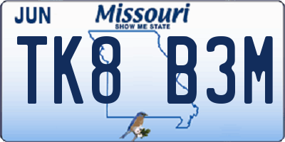 MO license plate TK8B3M