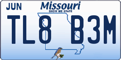 MO license plate TL8B3M