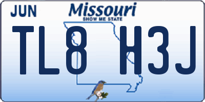 MO license plate TL8H3J
