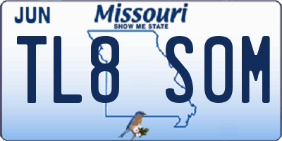MO license plate TL8S0M