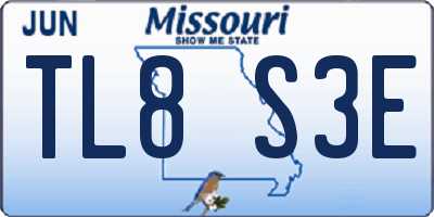 MO license plate TL8S3E