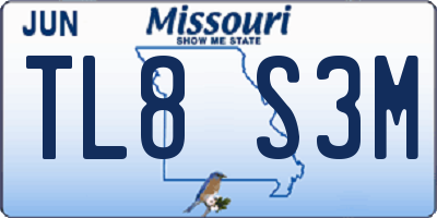 MO license plate TL8S3M