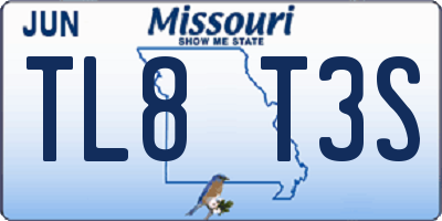 MO license plate TL8T3S