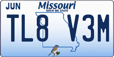 MO license plate TL8V3M