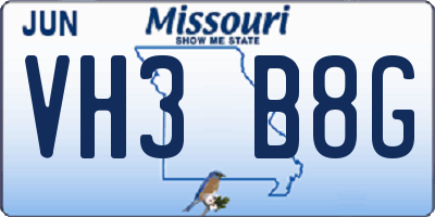 MO license plate VH3B8G