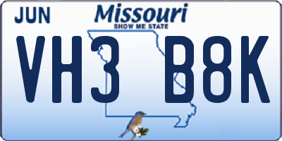 MO license plate VH3B8K